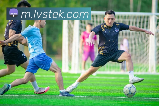 半岛在线网页版登陆服务体系